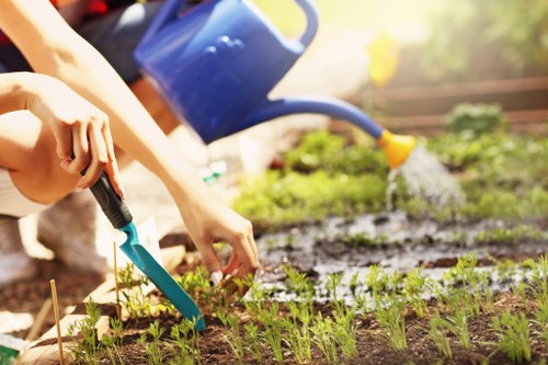 Tree Surgeons Beckenham cookie policy introduction