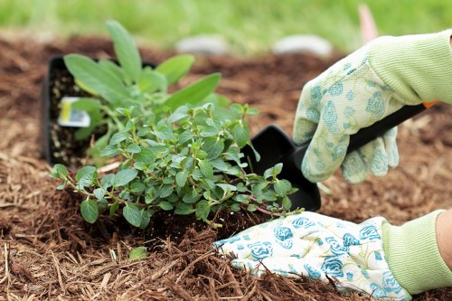 Accepted payment methods for Tree Surgeons Beckenham