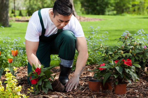 Professional pruning for a tree near a home and driveway in Beckenham