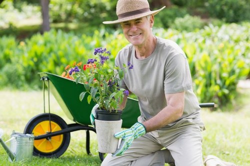 Crown lifting and shaping to improve light and clearance