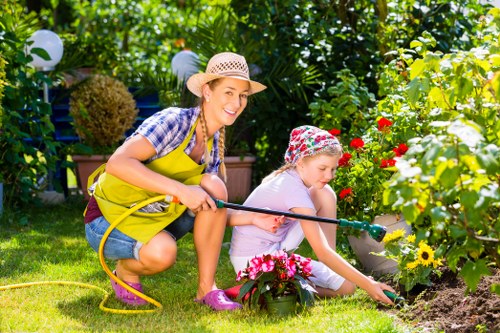 Beckenham tree surgeons providing expert tree care and maintenance