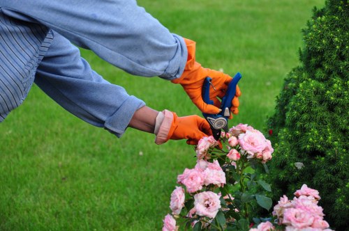 Safe and convenient Tree Surgeons Beckenham payment options